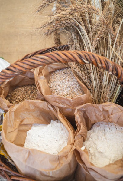 Buy wheat flour from Turkey