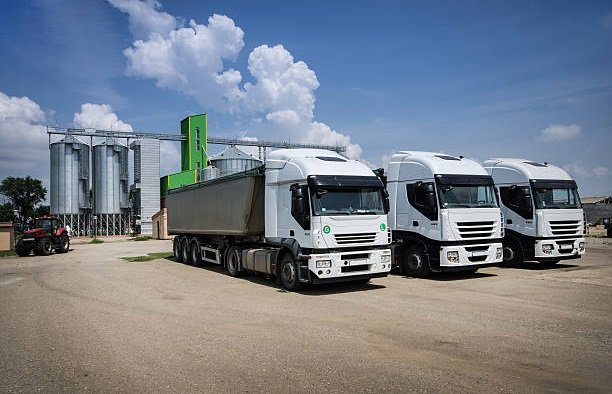 Turkey Wheat Flour Distributors