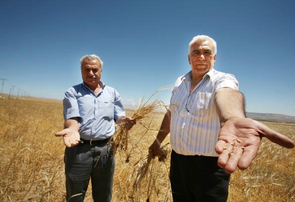 Turkey Wheat Flour Exporters