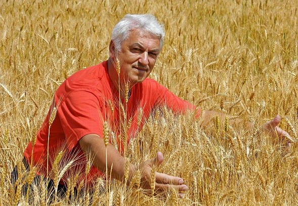 Turkey Wheat Flour Exporters