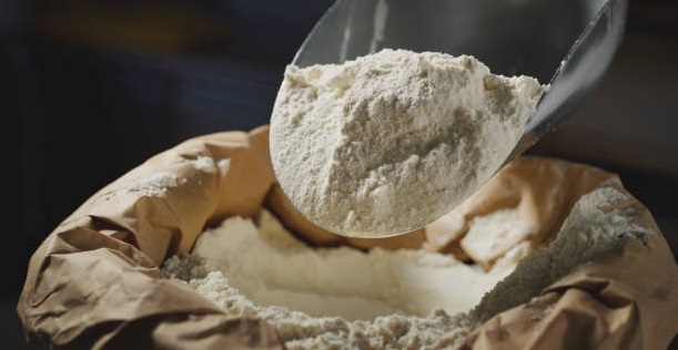 Turkey wheat flour suppliers
